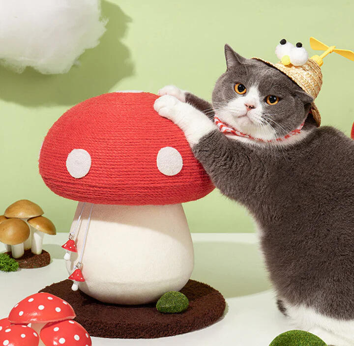 Mushroom Cat Scratcher