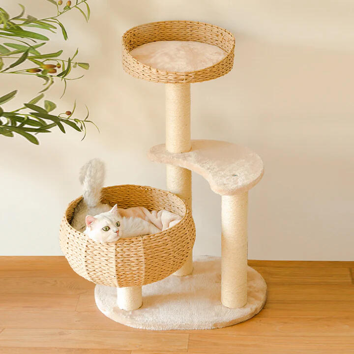 Sleeping in the Bowl Cat Tree