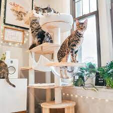 Crown Cat Tree